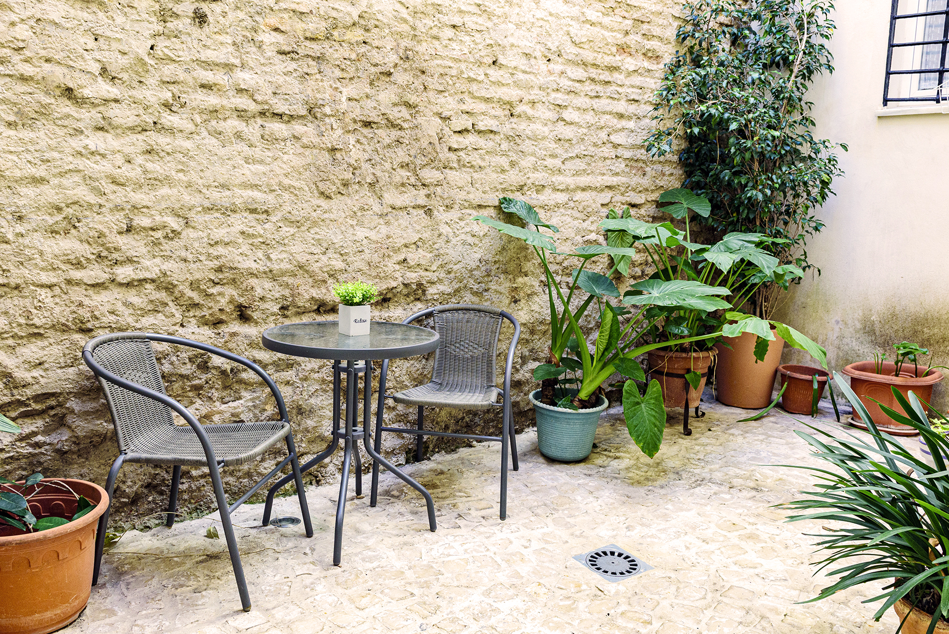 Vista del patio andaluz de NintaiHome, lleno de plantas y luz, ofreciendo un entorno sereno para el relax de nuestros huéspedes.